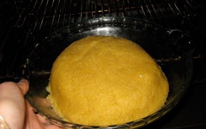 form the dough into a ball and place in a dish in the oven for 10 minutes at 170 C
