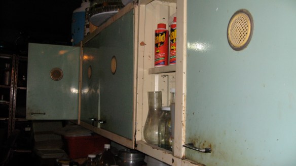 IMG_0689 old cabinet (i think they look fabulous)