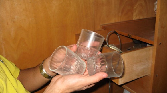 IMG_0702 cute, little glasses